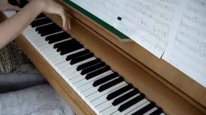 Metallica - Bleeding me | Vkgoeswild piano cover