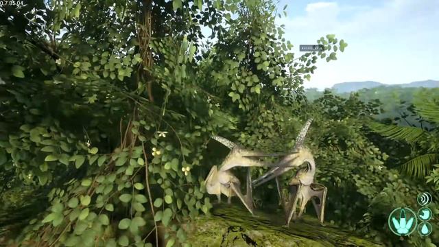 Птицы в 5 часов утра: смотреть онлайн