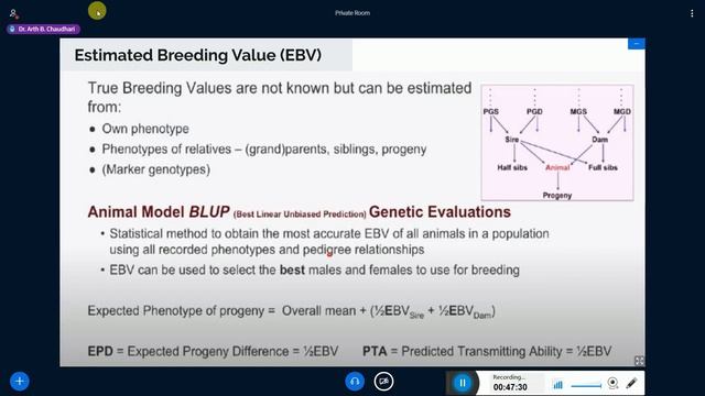 Vet NAU Webinar Series 2020 #8 смотреть онлайн