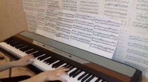 Tchaikovsky - Waltz of the flowers (piano solo)