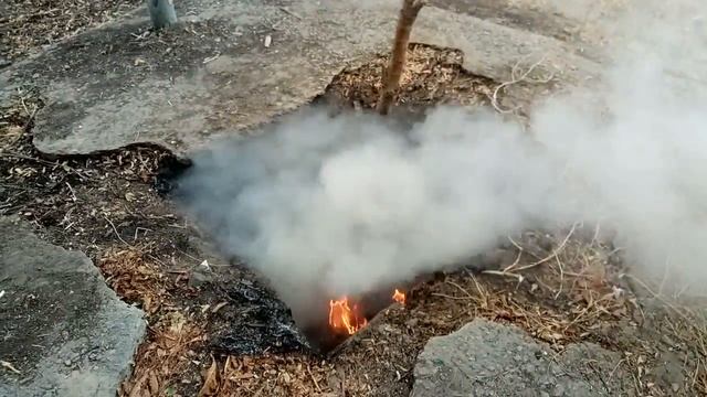 Сухие листья в заброшенных погребах хорошо горят и тлеют, но плохо тушатся ! V80904-150651.mp4 смотреть онлайн