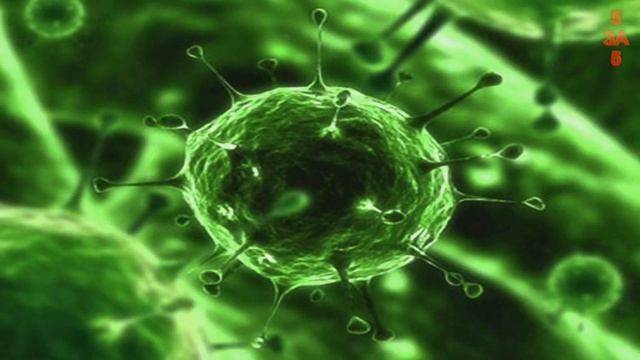 КОРОНАВИРУС Не Стоит Недооценивать, История Может Повториться! смотреть онлайн