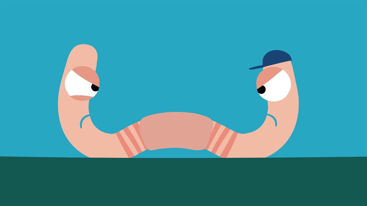 Анализации: дождевой червь