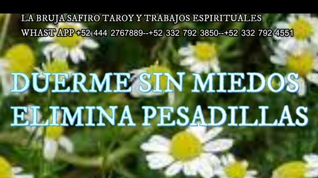 COMO PROTEGER TUS SUEÑOS DUERME BIEN смотреть онлайн