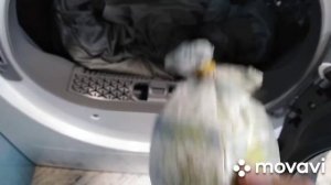 Как постирать пуховик или верхнюю одежду с искусственным наполнителем и высушить в сушильной машине