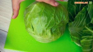 Капуста Казачок F1. Описание, отзывы, где купить. Капуста в разрезе