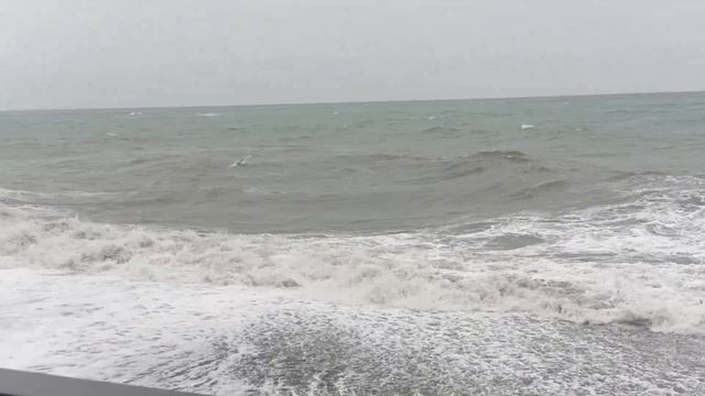 ШТОРМ НА МОРЕ.АДЛЕР 2023. смотреть онлайн