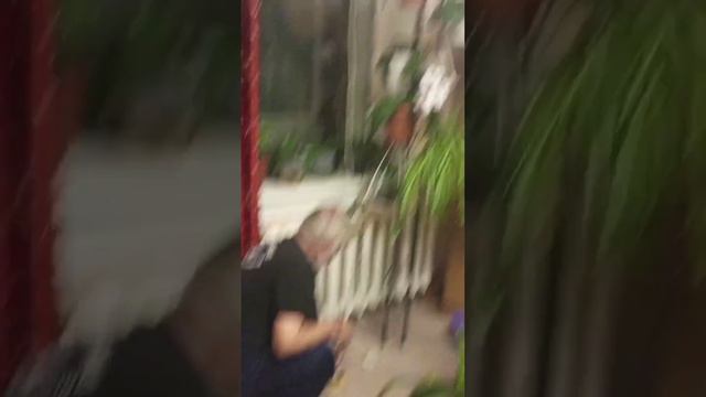 Давайте творить волшебство, приступим на сегодня хватит, 29 декабря 2022 г. смотреть онлайн