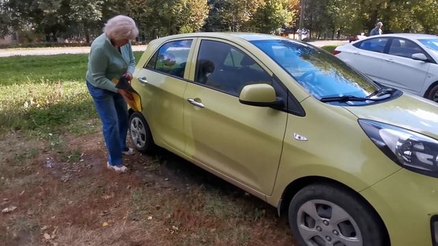 Мойка машины салфеткой Greenway двусторонней смотреть онлайн