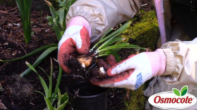 What To Do With Old Bulbs смотреть онлайн