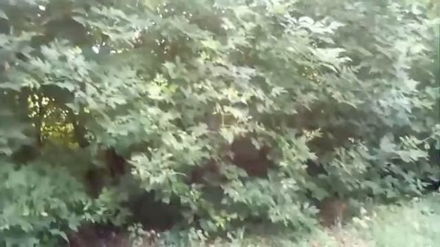 Как дерешься на стреле,ожидание vs реальность. смотреть онлайн