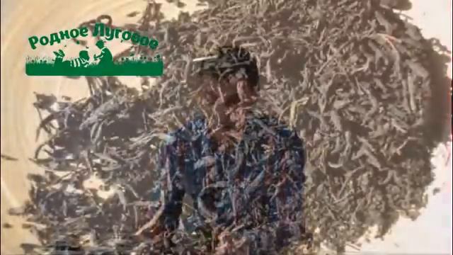 Пробники 2. Иван-чай Сибирский листовой смотреть онлайн