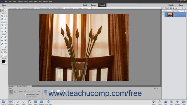 Photoshop Elements 2020 Tutorial Layer Types Adobe Training смотреть онлайн
