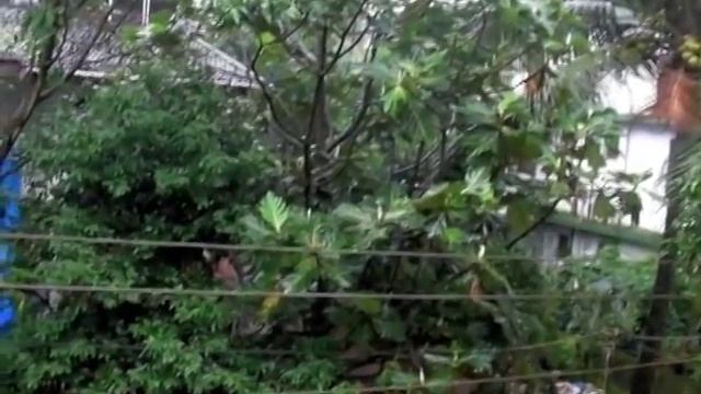 Benaulim, Goa