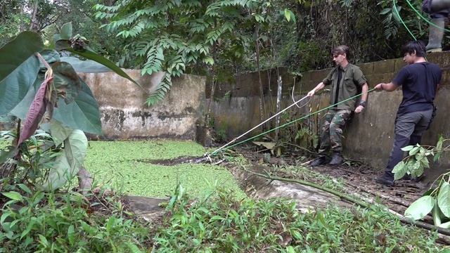 Nous devons attraper un crocodile... смотреть онлайн