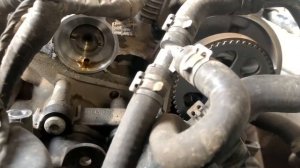 Замена ГРМ Skoda Yeti 1.6 CWVA