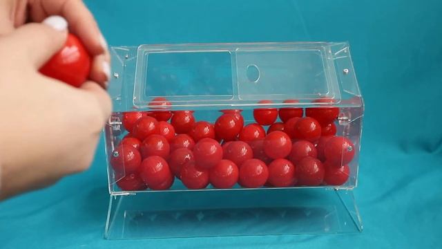 Лототрон для проведения акций и розыгрышей смотреть онлайн