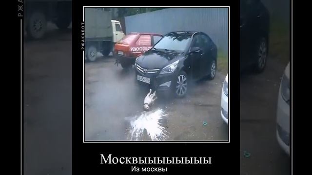 она любит бабки😭 смотреть онлайн
