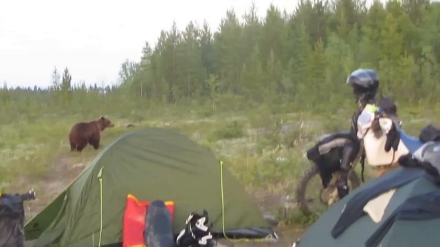 Как мы на Кольском от медведя отбивались.... смотреть онлайн