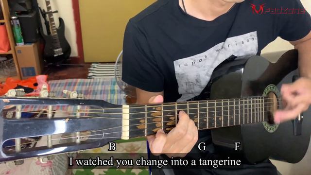 Tangerine By Steady Holiday (Acoustic Cover) смотреть онлайн