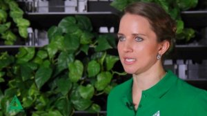 Фитостены | Вертикальное озеленение | Фитомодули