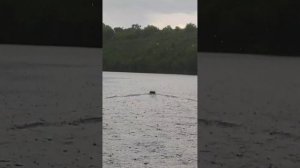 Кораблик для рыбалки тестирую на воде под дождем