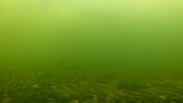 Активный окунь на блесну маропедка. смотреть онлайн