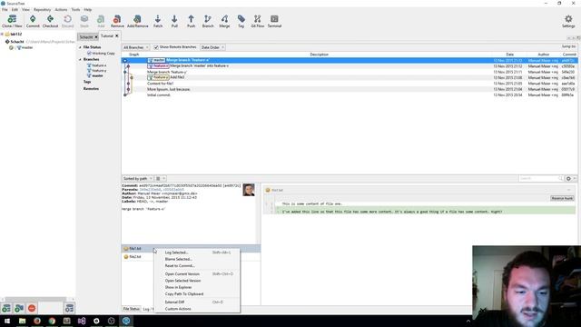 Git Log in SourceTree смотреть онлайн