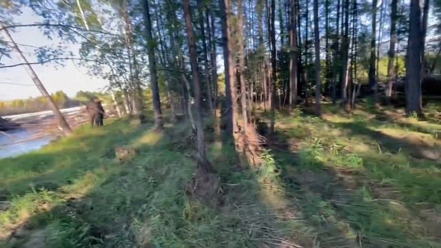 Выдра Алдан 600 шести метровая лодка + мотор Ямаха 40 (веос) под румпелем. Легко!!!!!!!! смотреть онлайн