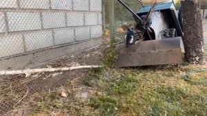 КАК РОСЛИ ЮГИ и ЯНИ! МАЛЕНЬКИЕ КОТЯТА И ИХ ПЕРВЫЕ 24 ЧАСА! ИСТОРИЯ БЕЗДОМНОЙ КОШКИ ИСЫ! СМЕШНЫЕ КОТ