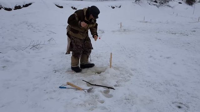 Рыбалка на щуку .березово. хмао .зимняя. смотреть онлайн
