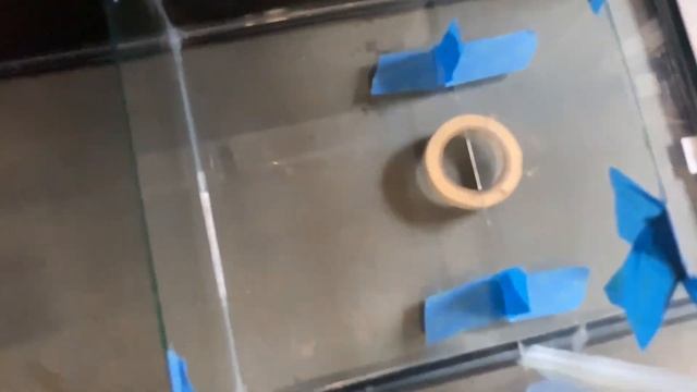 DIY 40 GALLON SUMP BUILD смотреть онлайн