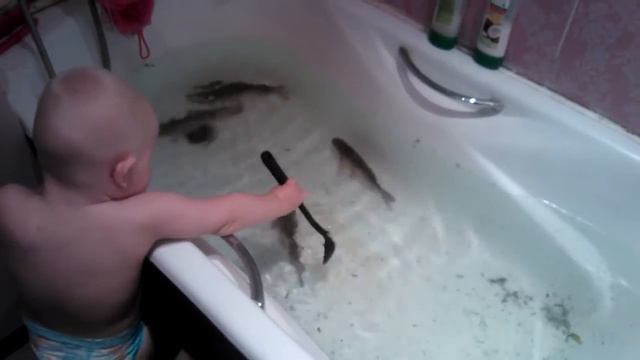 tujh ХАХА ЧТО ЭМ ЕГОР Рыбка домашняя смотреть онлайн