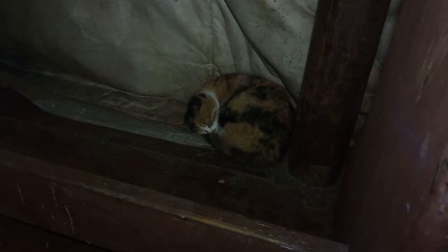 Зимний поход на Таганай, автостоп смотреть онлайн