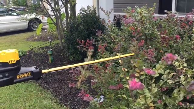 DeWalt 20V Pole Trimmer DCPH820 смотреть онлайн