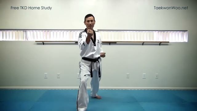 WT Taekwondo Poomsae Taegeuk 4 Jang | Explanations | 태극 4장 | TaekwonWoo смотреть онлайн