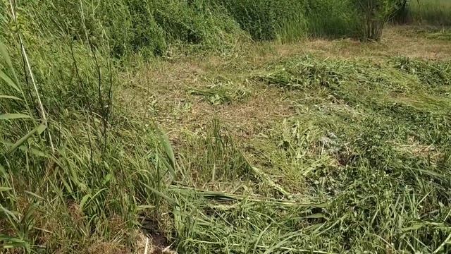 Нашел средневековую серебряную монету начала 17 века. смотреть онлайн