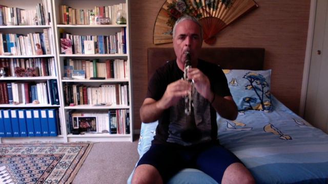 N. Lygeros: Motif bolérien. (Clarinette en Si bémol, Selmer). 30/08/2022 смотреть онлайн