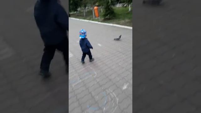 Прогулка в парке. Летооо. Кокчетав смотреть онлайн
