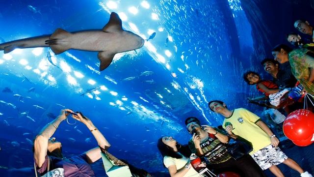 Достопримечательности Дубай ОАЭ. Путеводитель смотреть онлайн