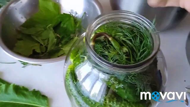 солёные огурцы....долго хранятся смотреть онлайн