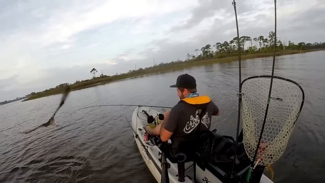 Osprey attacks lure while kayak fishing смотреть онлайн
