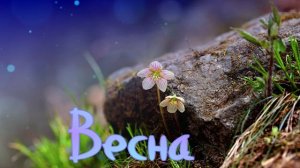 Футаж. Весна 26