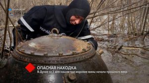 В Дунае за 2 дня нашли три морские мины