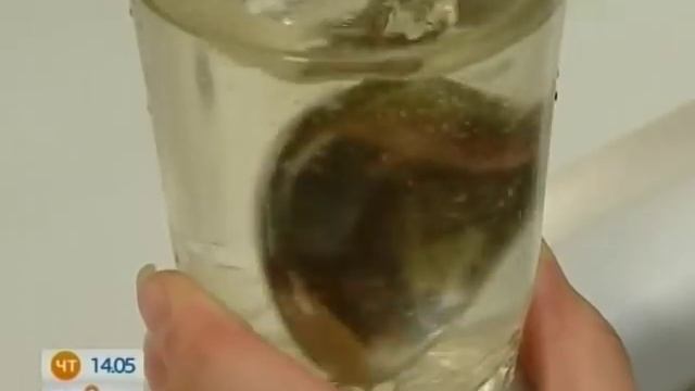 Секреты Ухода за Волосами