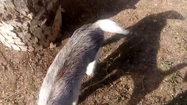 Сиденья в ОКУ от ВАЗ2110 и НОВЫЕ КОЗЛЫ смотреть онлайн