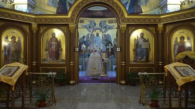 Прямая трансляция: Божественная литургия. Воскресенье. 3 декабря 2023. смотреть онлайн