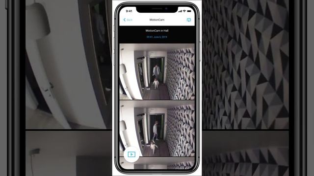 Ajax Motion Cam смотреть онлайн