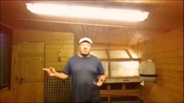 СУПЕР БРОЙЛЕРЫ - АРБОР АЙКРЕС смотреть онлайн