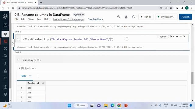 13. Rename columns in DataFrame смотреть онлайн